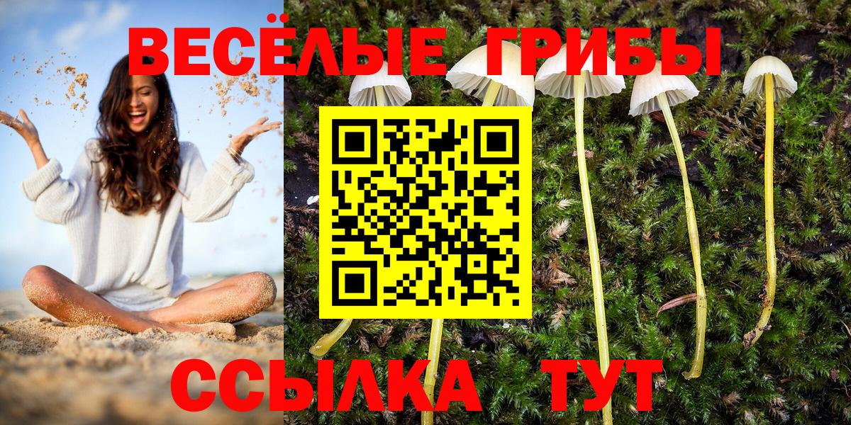 Галлюциногенные грибы Magic Shrooms Копейск