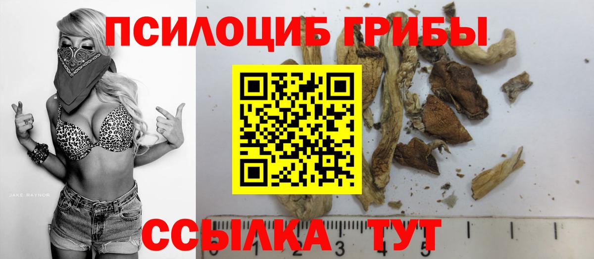 Псилоцибиновые грибы Cubensis  Вход с VPN  Копейск 